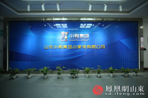 小鴨向新 2021探尋濟南企業(yè)高質量發(fā)展媒體行 將走進小鴨集團鳳凰網山東 鳳凰網