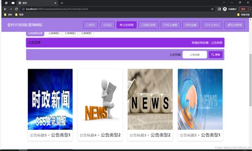 ssm465軟件開發團隊管理網站 vue