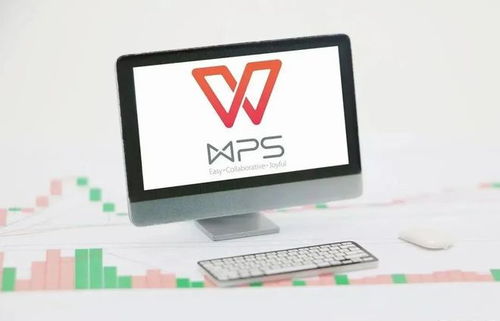 WPS升級(jí)后如何輕松回退至舊版本？詳細(xì)指南助你無(wú)憂切換